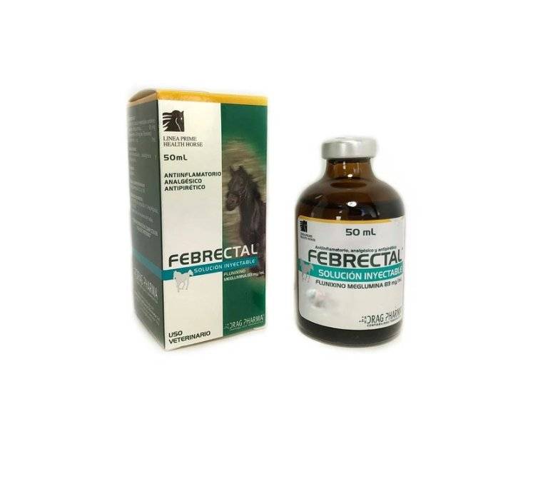 FEBRECTAL 50ML (INYECTABLE) – Pobre Guacho